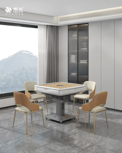 雀友T100 迷你過山車