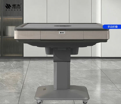 雀友T30過山車